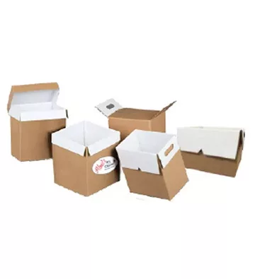 Paper Ice Cream Packing Gallon 5 Ltr Box, For Party, Size